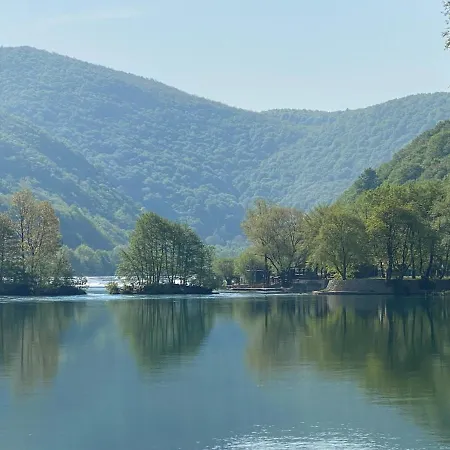 Enio Bihac